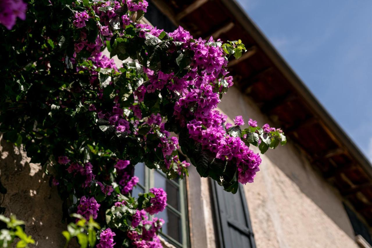 Agriturismo Le Chiusure San Felice del Benaco Exterior photo