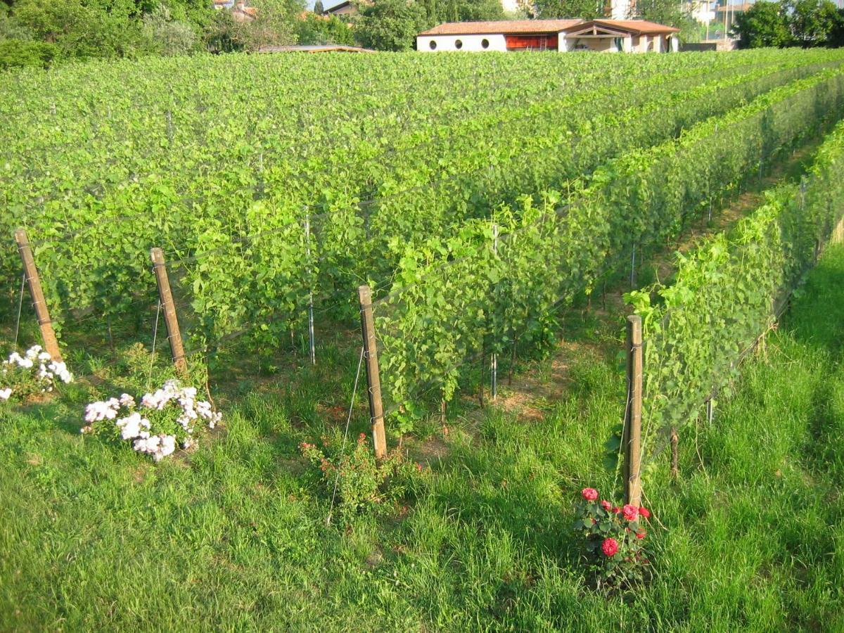 Agriturismo Le Chiusure San Felice del Benaco Exterior photo